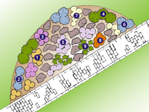 mesic sun garden design