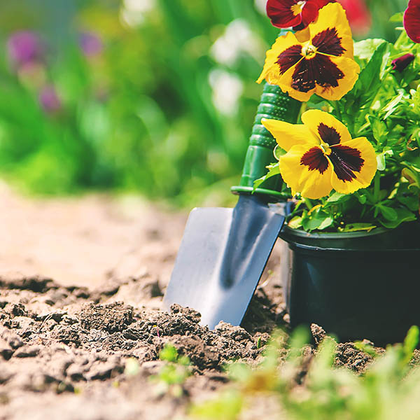 Flower bed with bare ground